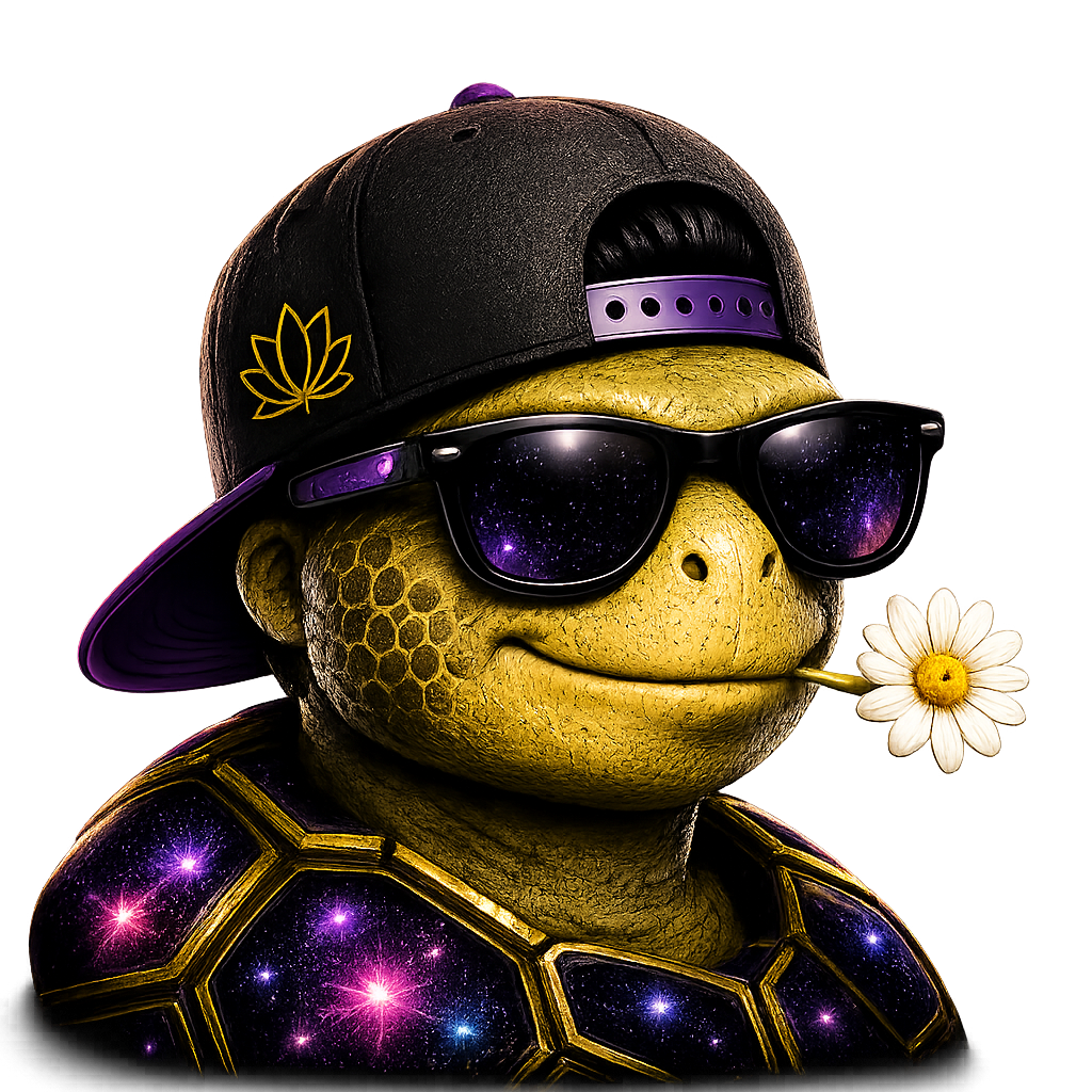 SlowBoon, a wise turtle in the age of Speed